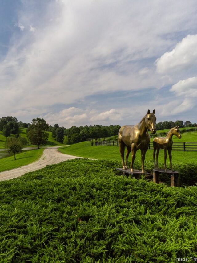 Inventors of Whac-A-Mole selling equestrian estate in North Carolina
